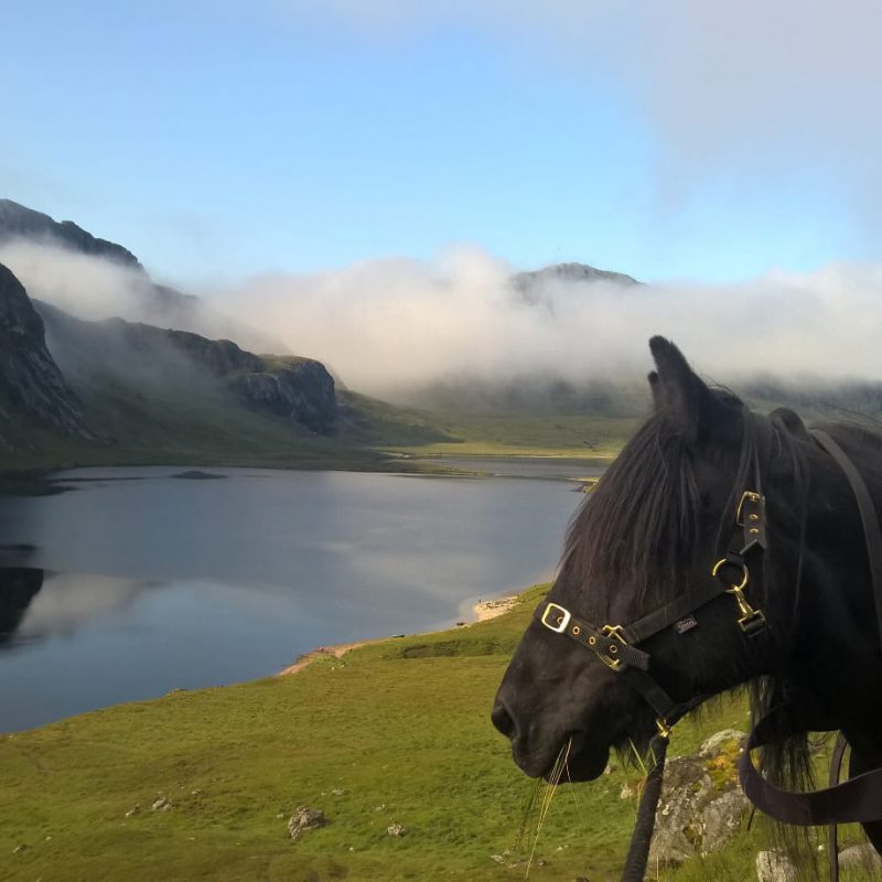 Horse-riding and pony-trekking in Scotland